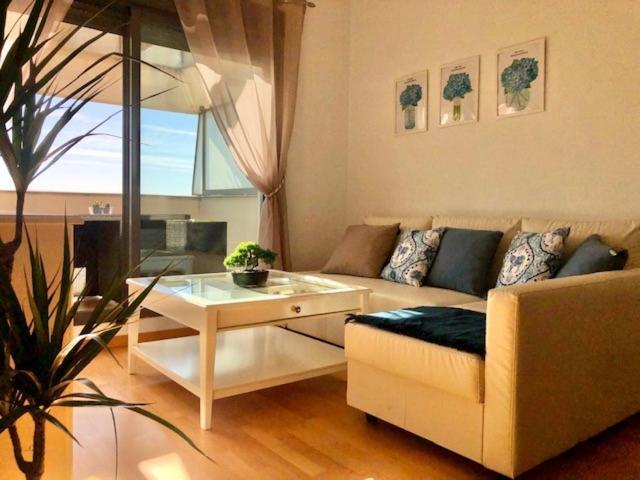 Gatu Premium Atico Parra, Parking, Piscina Comun, Terraza, Wifi Solo Familias O Grupos De Mayores De 25 Anos Appartement El Puerto de Santa María Buitenkant foto